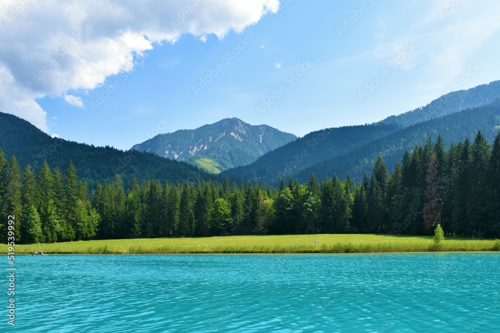 Meadow at the shore of Weissensee lake in Carinthia, Austria and the peak of Spitzegel mountain in Gailtal Alps