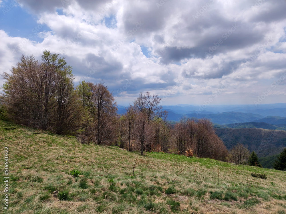 spring in the Kopaonik national park in Serbia spring in the Kopaonik national park in Serbia