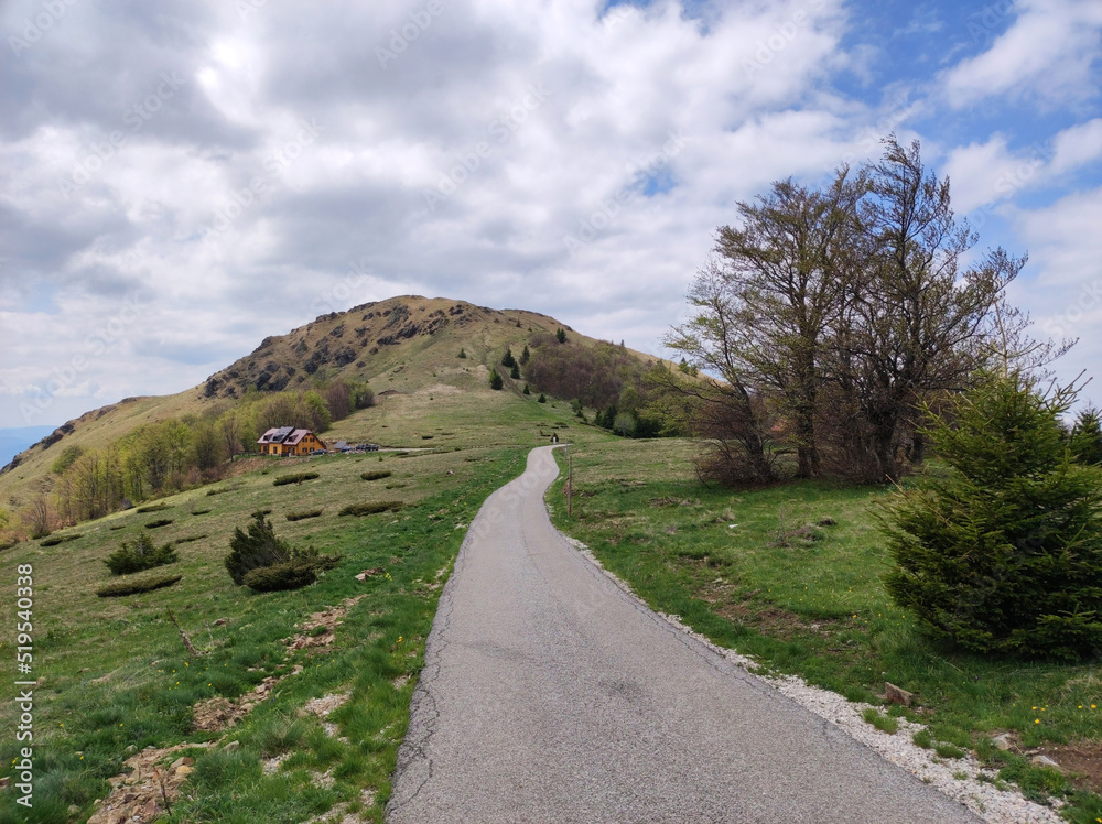 spring in the Kopaonik national park in Serbia spring in the Kopaonik national park in Serbia