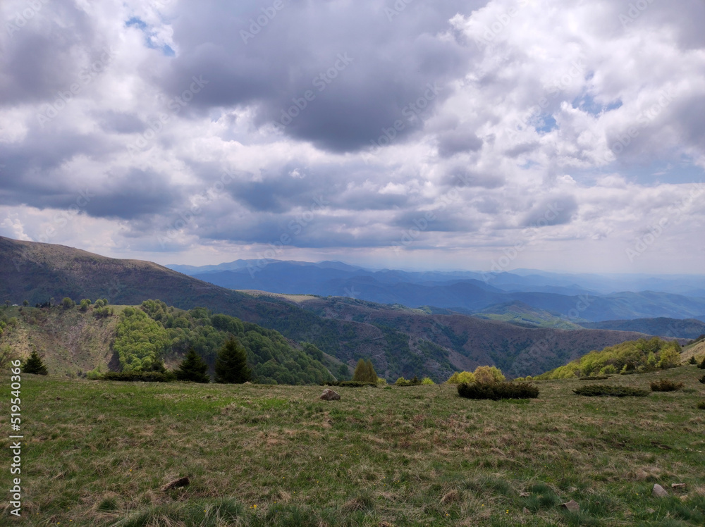 Fototapeta premium spring in the Kopaonik national park in Serbia