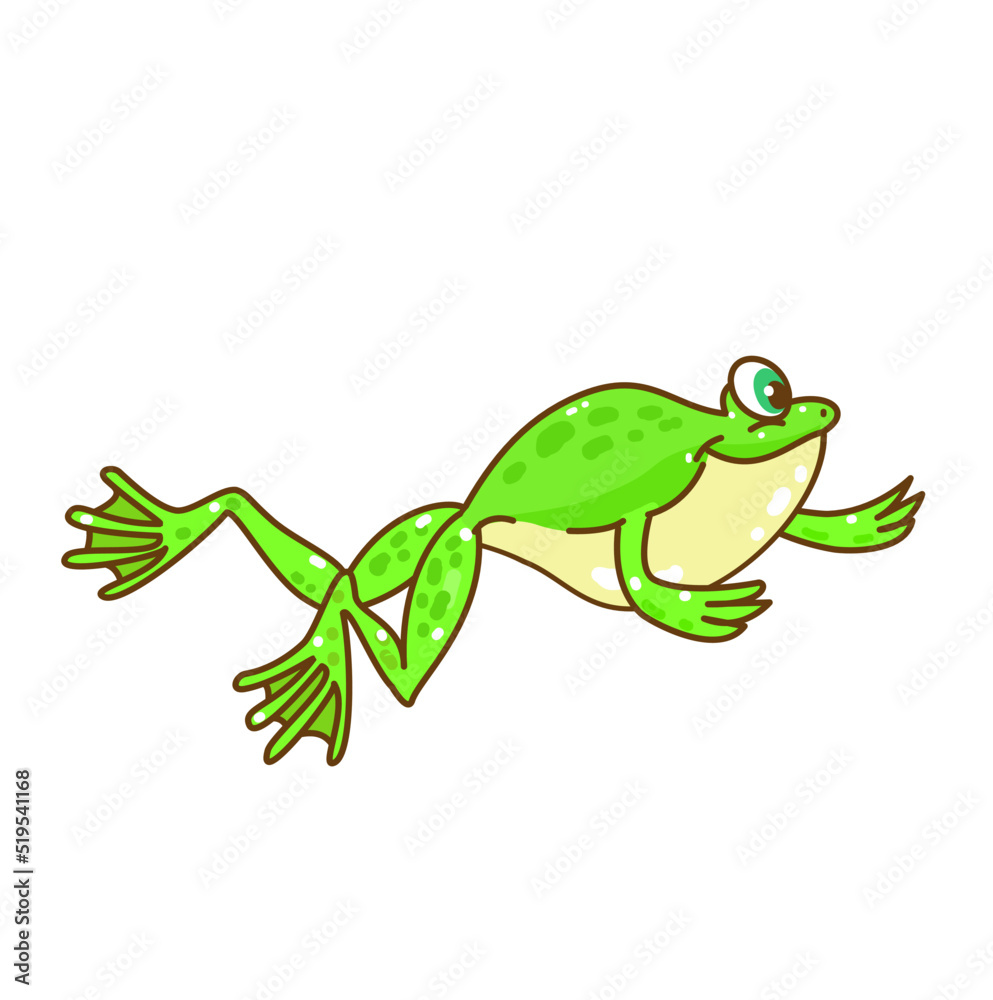 Fototapeta premium The Frog’s life cycle vector.