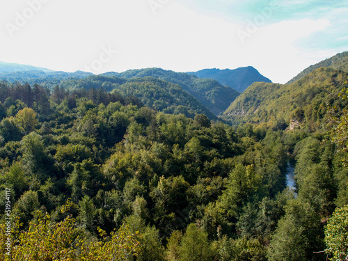 Scenic mountain landscape, view of the mountain river canyon with the forest, green trees, mountains, and blue sky © Nigva