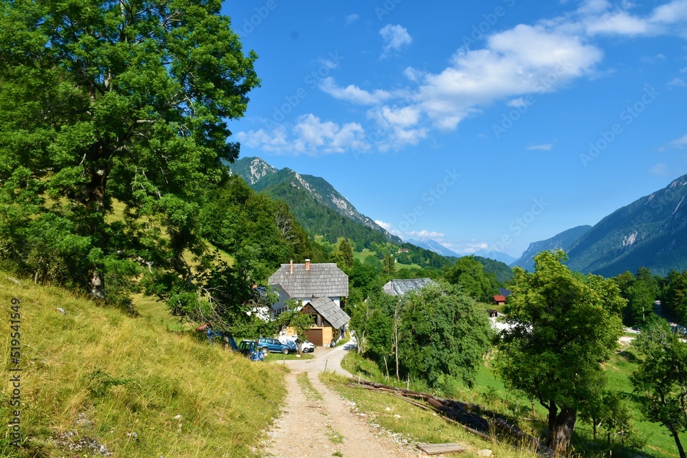 View of a farm house in Srednji Vrh village near Kranjska Gora in Gorenjska, Slovenia in summer