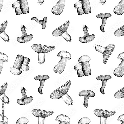 Seamless pattern with forest assorted mushrooms on a white background. Hand drawn vector illustration