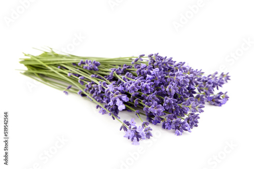 Fresh lavender flowers bouquet isolated on white