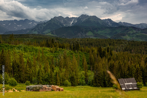 Tatra Mountains range in Poland. Alpine landscape and meadows © marcin jucha
