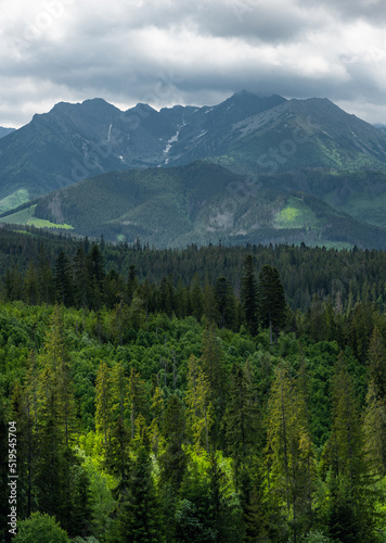 Lush forest and high Tatra Mountains range in Poland near Zakopane © marcin jucha