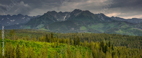 Wide panorama of Tatra mountains range in poland at summer
