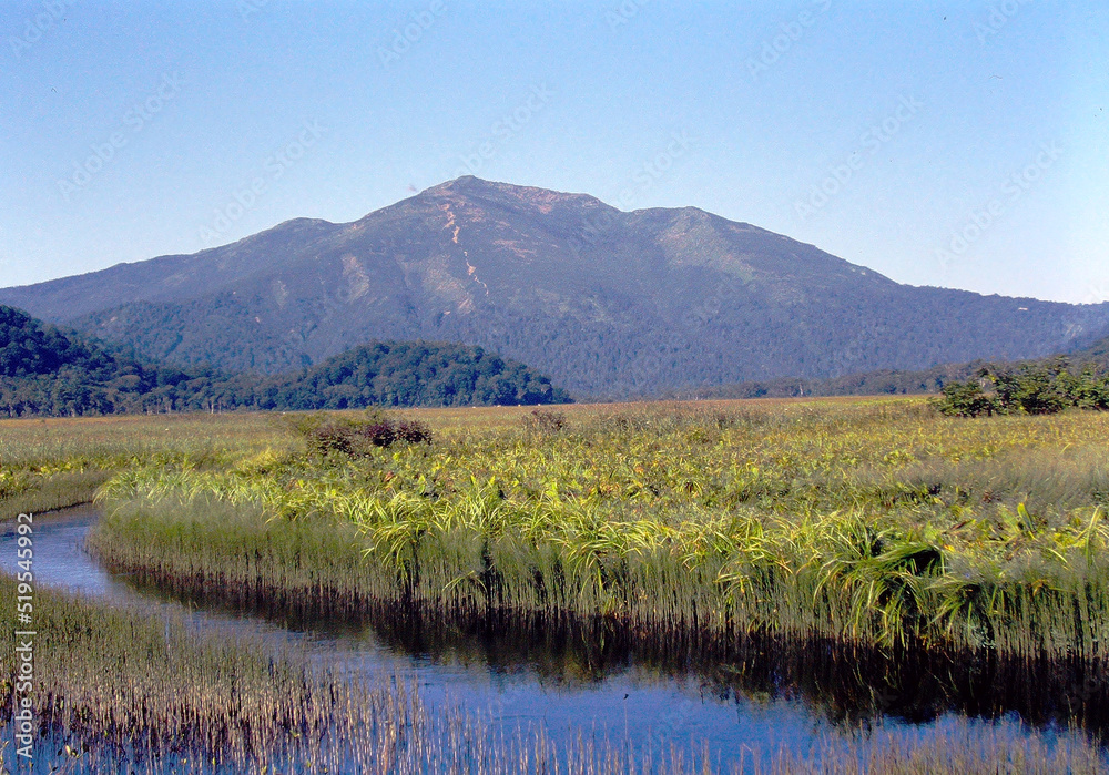 Fototapeta premium 尾瀬の初夏の風景