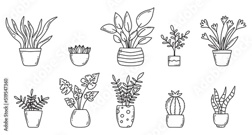 Set of indoor plants in doodle style. Houseplants. Vector illustration. Home flowers in pots.