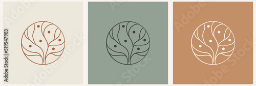 Olive tree logo. Extra virgin olive oil label icon. Tree of life symbol. Organic branch brand identity. Plant leaf sign. Vector illustration.