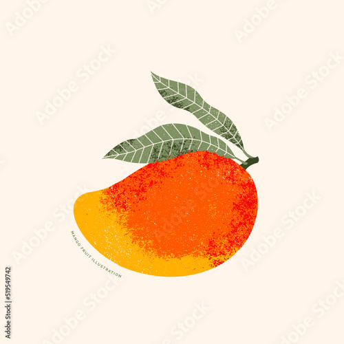 Mango fruit illustration. Vintage textured style. Ripe mango plant with leaves. 