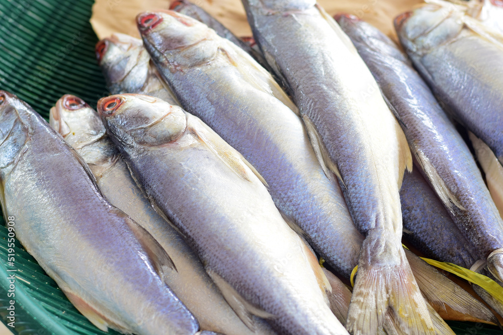 fresh fish on the market