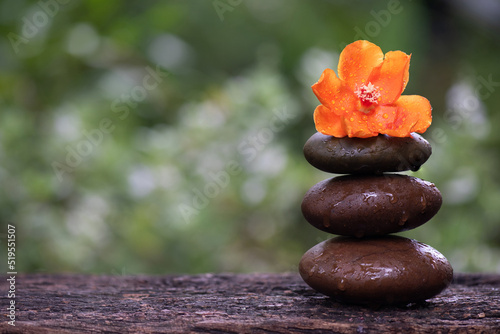Zen stones and wax rose on nature background.
