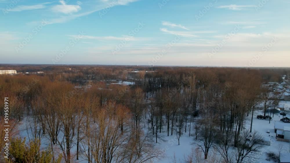 An aerial view of an enormous field with bare trees and reed in a snow covered winter marsh landscape An aerial view of an enormous field with bare trees and reed in a snow covered winter marsh landscape