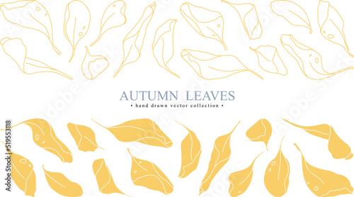 Hand drawn vector set of autumn line yellow leaves isolated on white background.