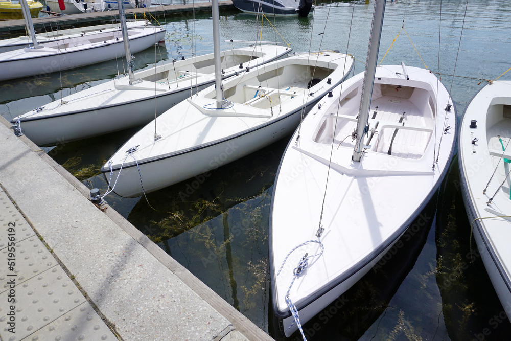 Fototapeta premium White sailboats moored in port