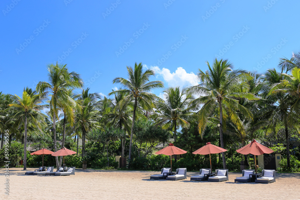 Obraz premium beach resort and palm trees
