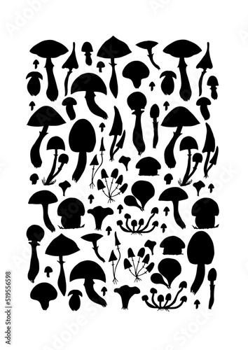 Magic mushrooms collection. Black silhouette. Background for your design. Vec...