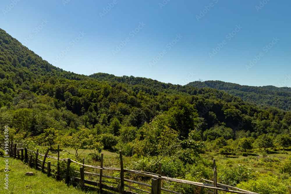 Mountainous terrain covered with greenery and a fence