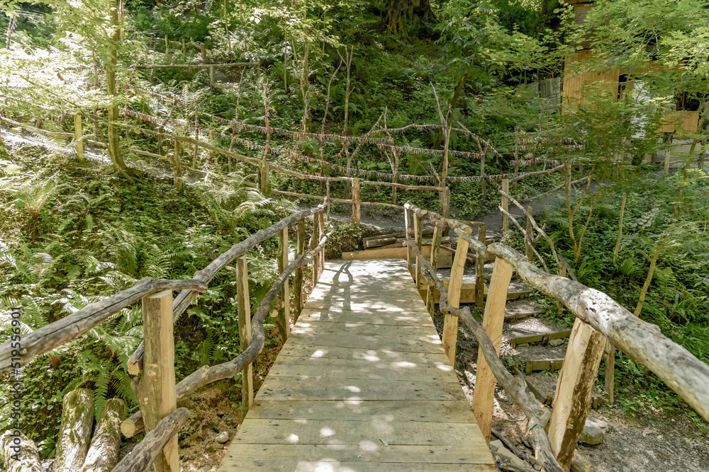 Obraz premium Wooden bridge over the mountain river