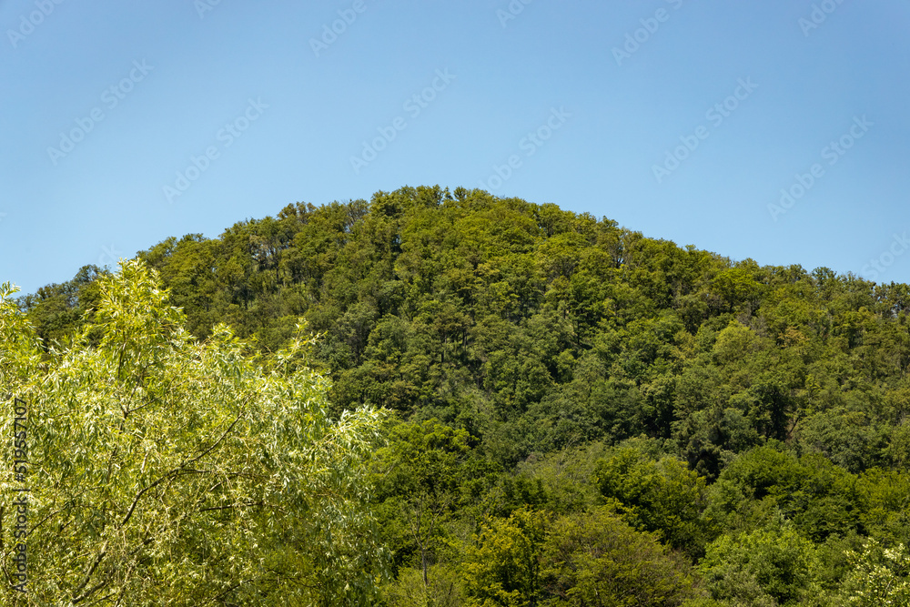 Sochi. The top of the mountain is all covered with greenery Sochi. The top of the mountain is all covered with greenery