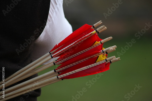 Arrows in quiver  photo