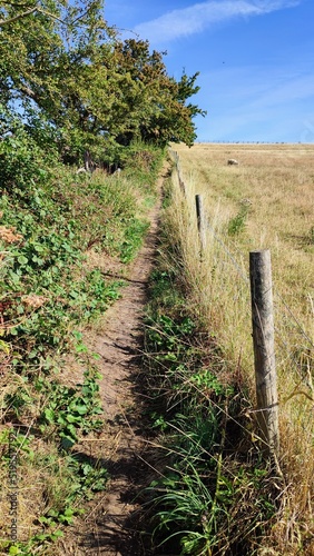 path in the countryside