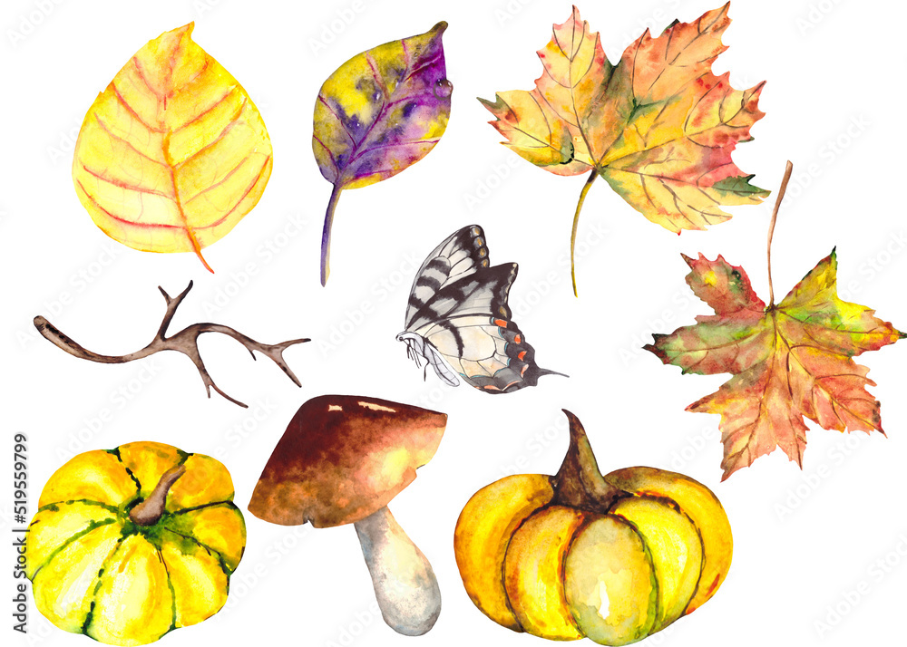 Autumn set with colorful leaves, yellow pumpkins, a dry branch, a mushroom and a butterfly, isolated on a white background. A thematic collection for design on the theme of nature and autumn. Autumn set with colorful leaves, yellow pumpkins, a dry branch, a mushroom and a butterfly, isolated on a white background. A thematic collection for design on the theme of nature and autumn.