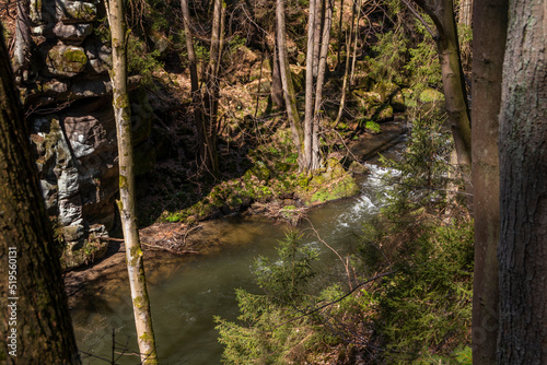 Fluss im Wald