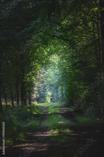 Small road in the deep forest leading to a small hunting tower with a great view from the top