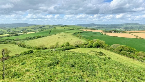 landscape with fields