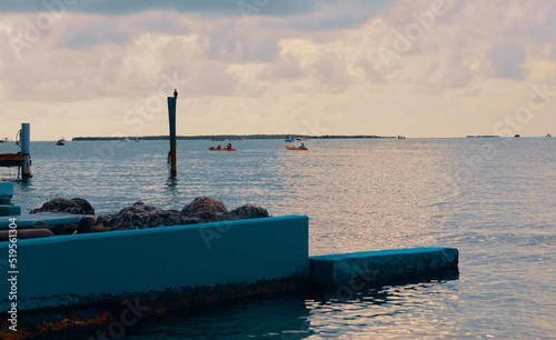 boats in the harbor
