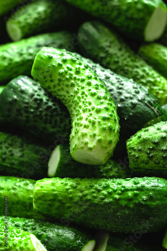 Many freshly picked green cucumbers. Cucumber harvest. Preparation for the winter. Cucumder background.