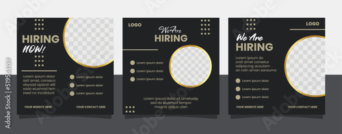 Job seeker hiring poster social media template design