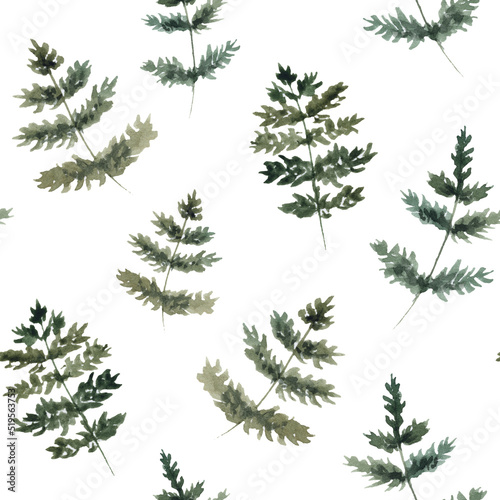 Fern seamless pattern. Leaves of the fern. © liliia_sinhina