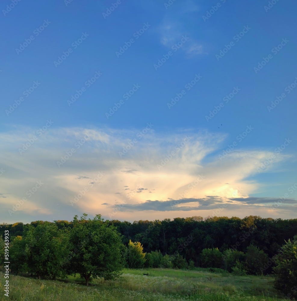 sunset over the field