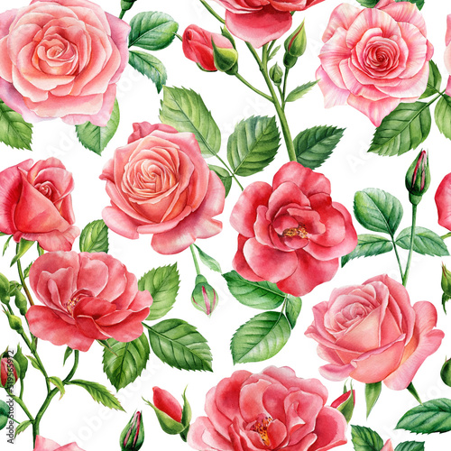 Flower seamless pattern. Roses, pink flora illustration © Hanna