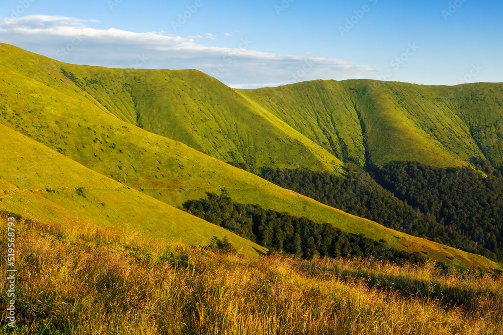 Obraz premium Ukrainian Carpathians in summer. Borzhava ridge.