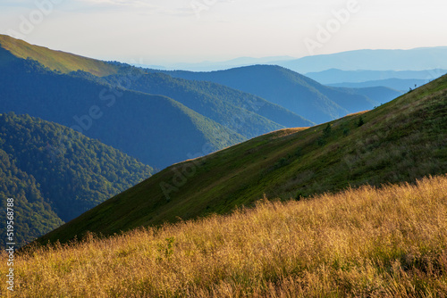 Ukrainian Carpathians in summer. Borzhava ridge.