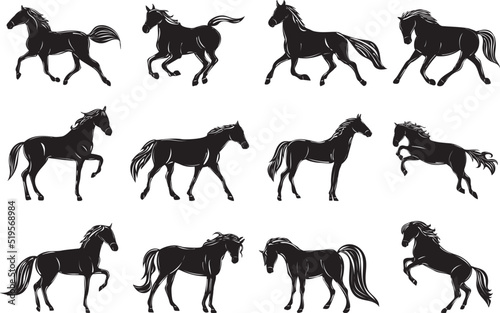 Obraz na plátne silhouette running horses set on white background isolated, vector