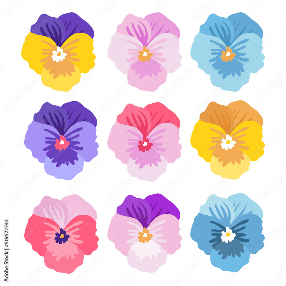 Pansy flower, violet, Víola trícolor collection vector cartoon illustration isolated on white background. Blue, yellow, purple plants set. Botanical design.