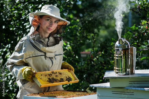 Portrait of a beautiful young female beekeeper working in an apiary near beehives with bees. Collect honey. Beekeeper on apiary. Beekeeping concept.