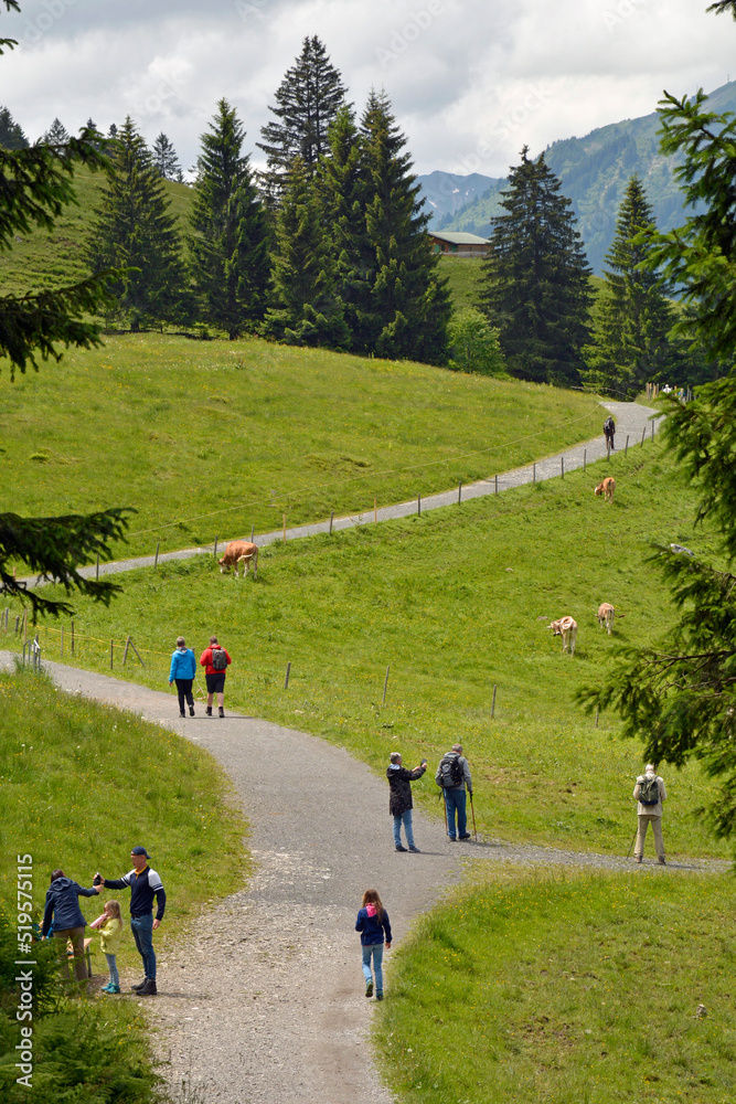 wanderer im kleinwalsertal wanderer im kleinwalsertal