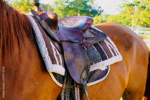  Horse rider saddle, horse close-up. Horse riding. © Jenya Smyk