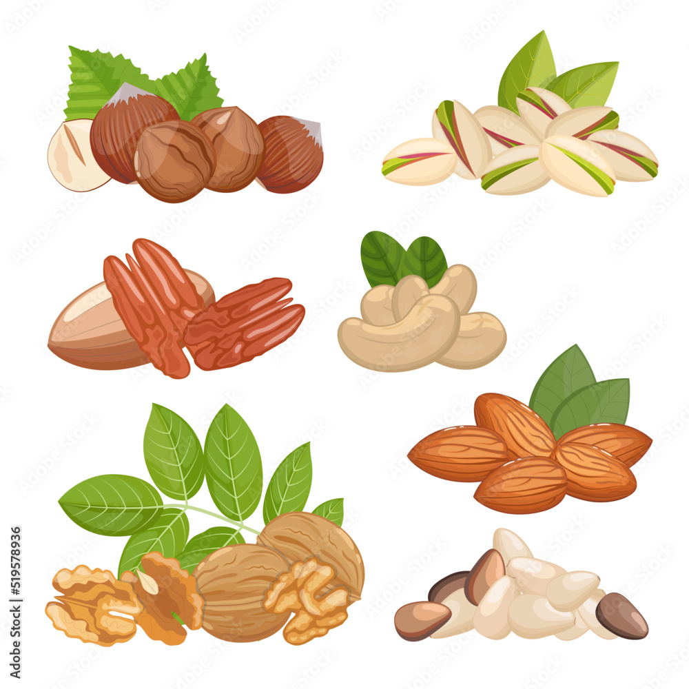 Nuts set of walnuts, almonds, hazelnut and other, healthy snack. Vector illustration isolated on white background
