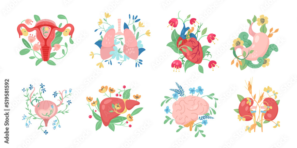 Human internal organs with flowers vector illustrations set. Brain, heart, bladder, kidneys, liver, stomach, lungs, uterus with floral elements isolated on white background. Anatomy, health concept