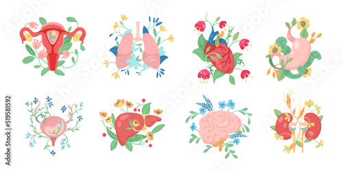 Human internal organs with flowers vector illustrations set. Brain  heart  bladder  kidneys  liver  stomach  lungs  uterus with floral elements isolated on white background. Anatomy  health concept