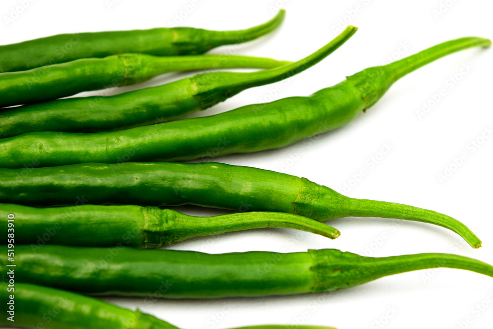 白背景の青唐辛子 コピースペースあり Green chili peppers (chile verde) on white background with copy space 白背景の青唐辛子 コピースペースあり Green chili peppers (chile verde) on white background with copy space