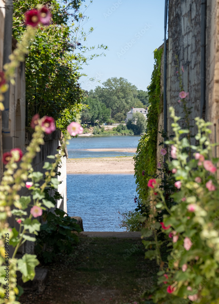 Old stone houses and hollyhocks in the picturesque village of Candes Saint Martin, at the confluence of the Loire and Vienne rivers. The village is considered one of the most beautiful in France.